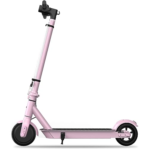 Electric Scooter with 6.5" Solid Tires P2439