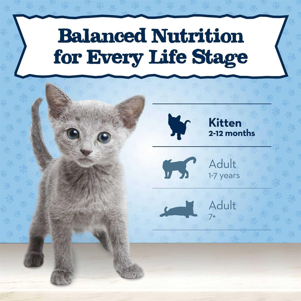 Chicken Recipe Wet Kitten Food P660734