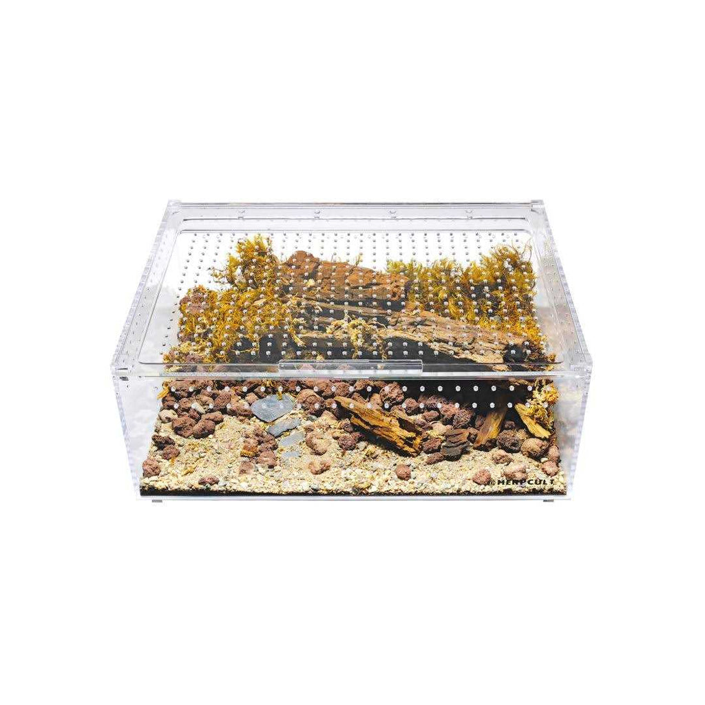 Acrylic Terrarium Extra Large Flat H35451