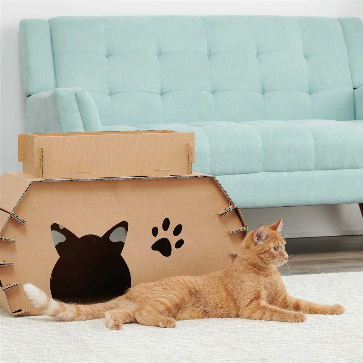 Cat Camper and Scratcher G783528