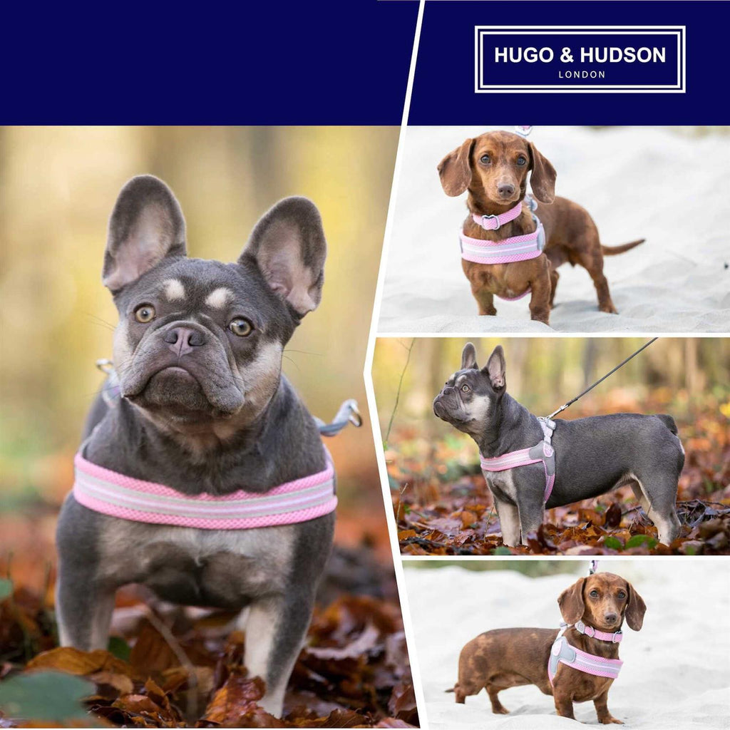 Dog Harness P832051