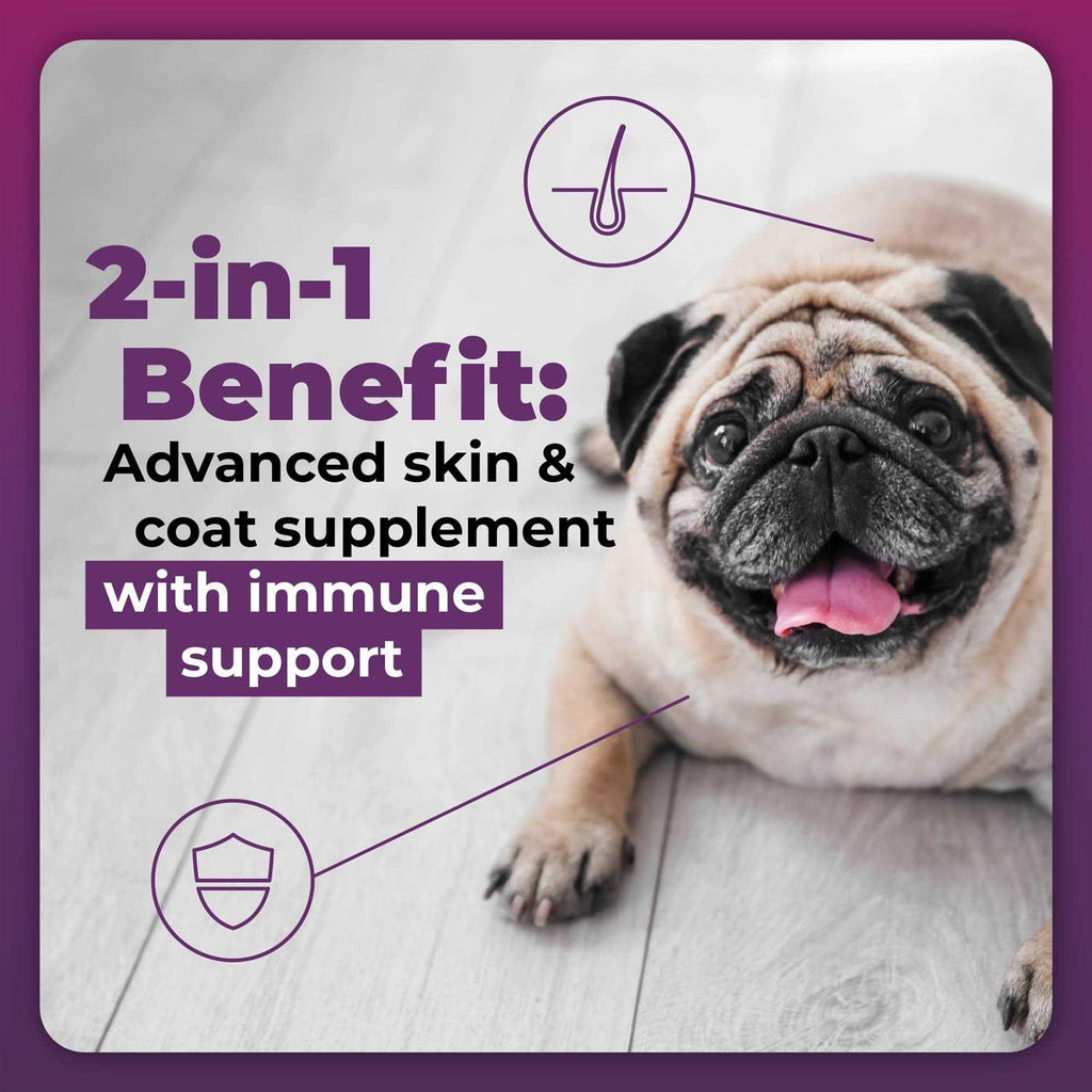 Duck Flavor Supplement for Dogs G793