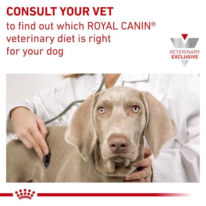 Hydrolyzed Protein Dry Dog Food I4223