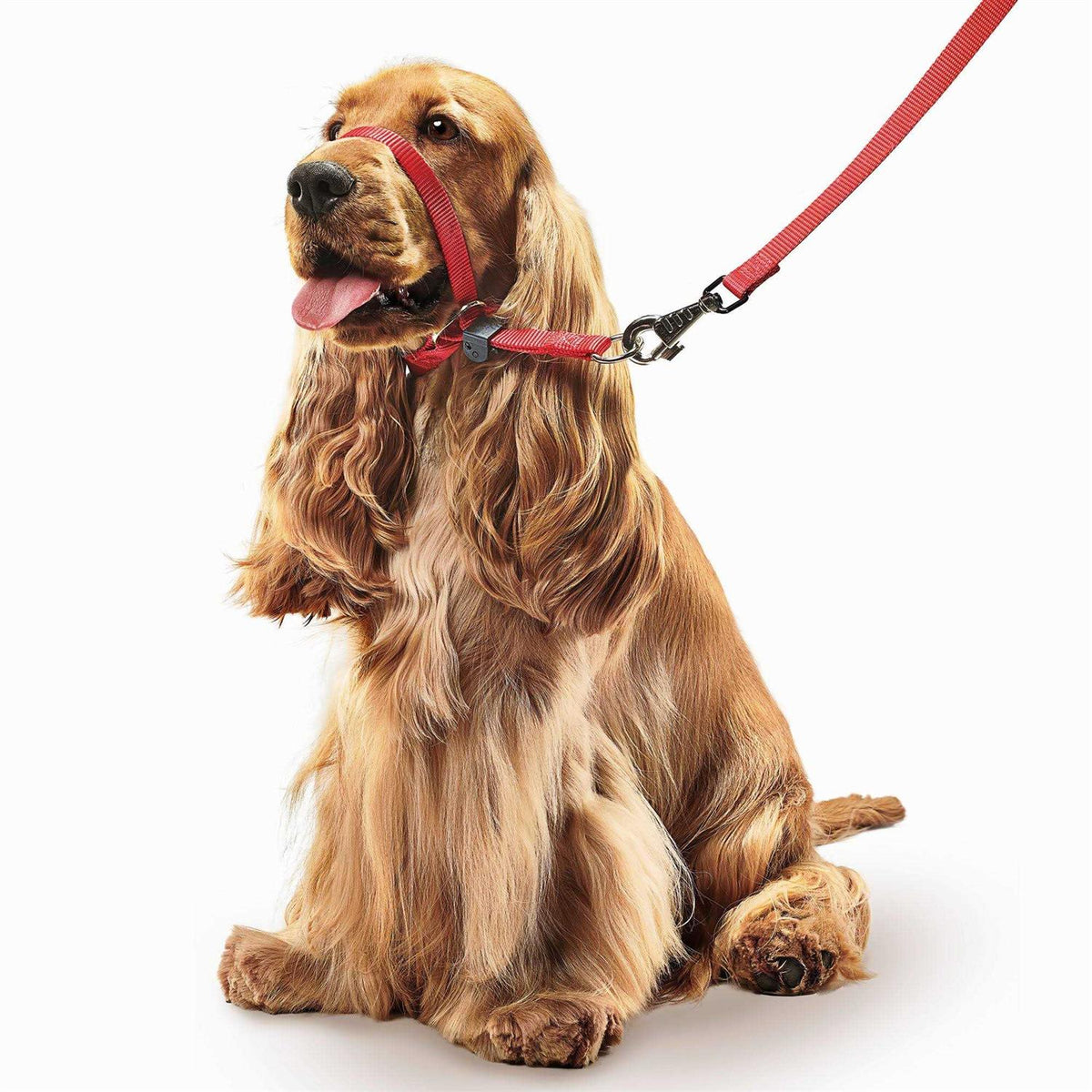 Gentle Leader Head Collar Dogs O438