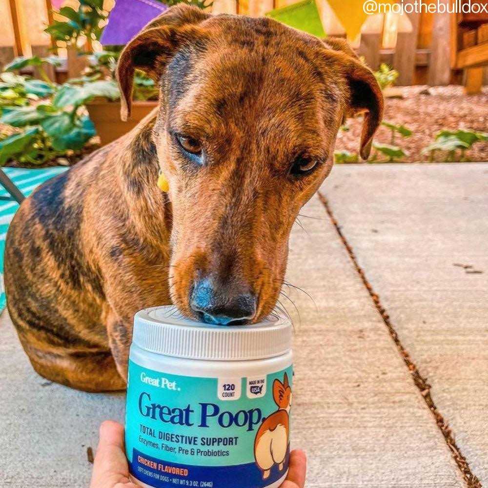 Probiotics for Dogs Digestive Enzymes Supplement E432