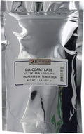 Glucoamylase 1 Pound H111656