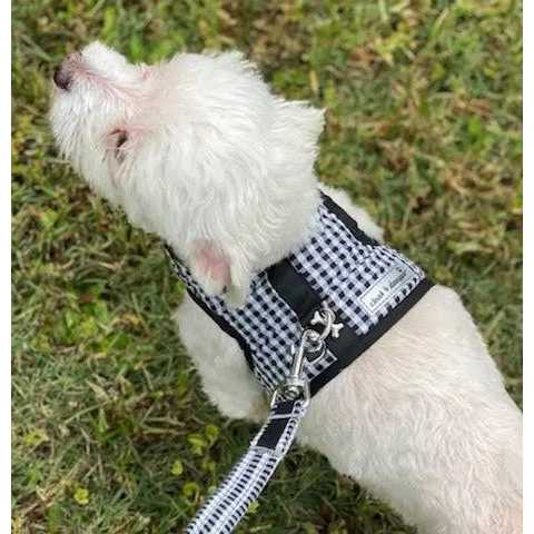 Teacup Gingham Dog Harness Vest N687