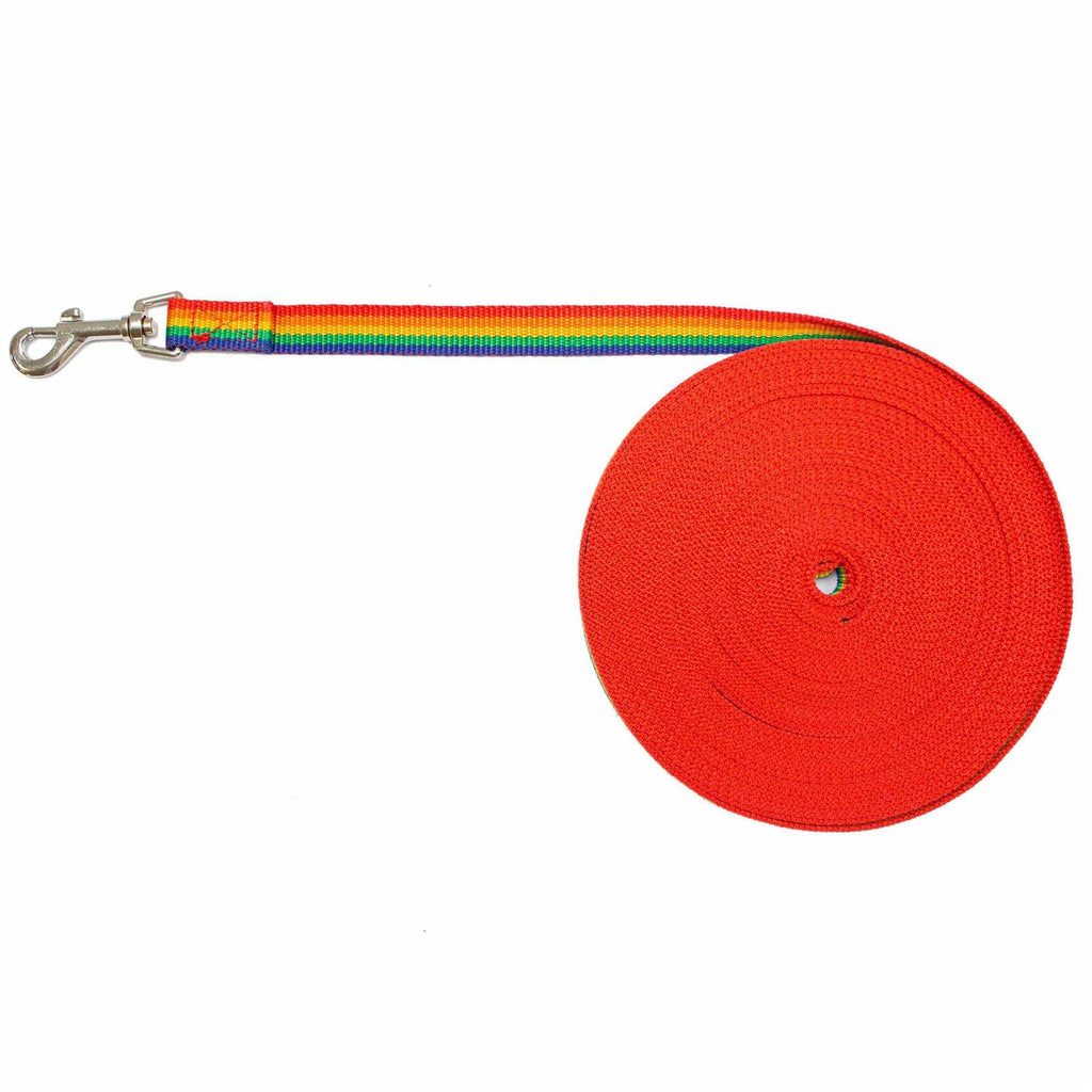 Long Lead Leash L643517
