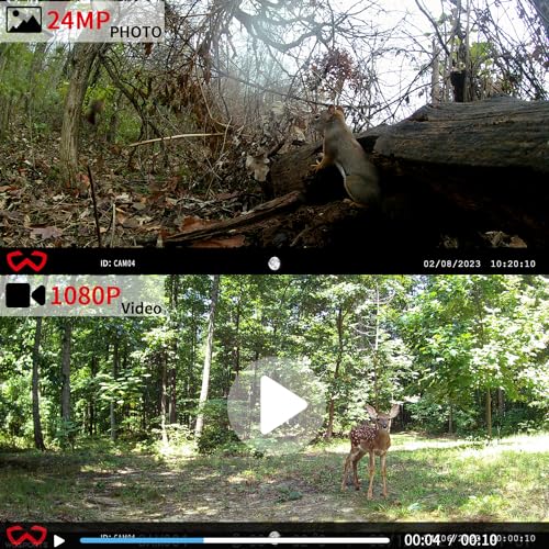 24MP 1080P HD Waterproof Mini Trail Camera 4 Pack G319895