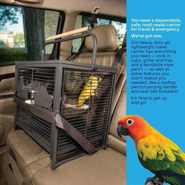 Pet Travel Carrier M6761