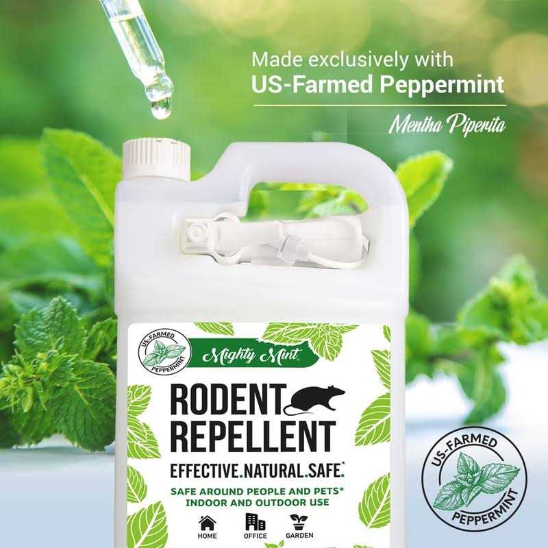 Natural Peppermint Oil Spray J38154