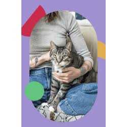 Cat Treat G6213