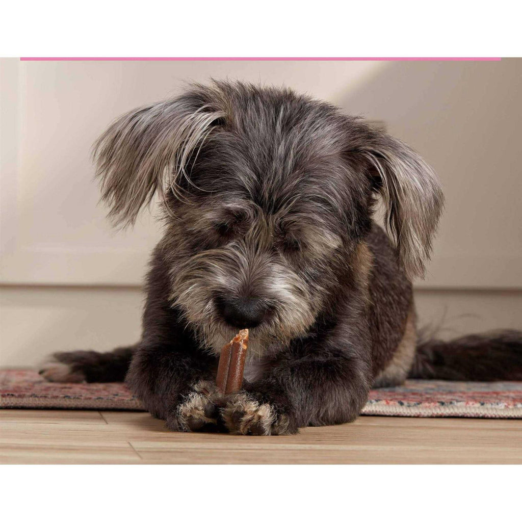 Mini Comfort Chews Dog L508