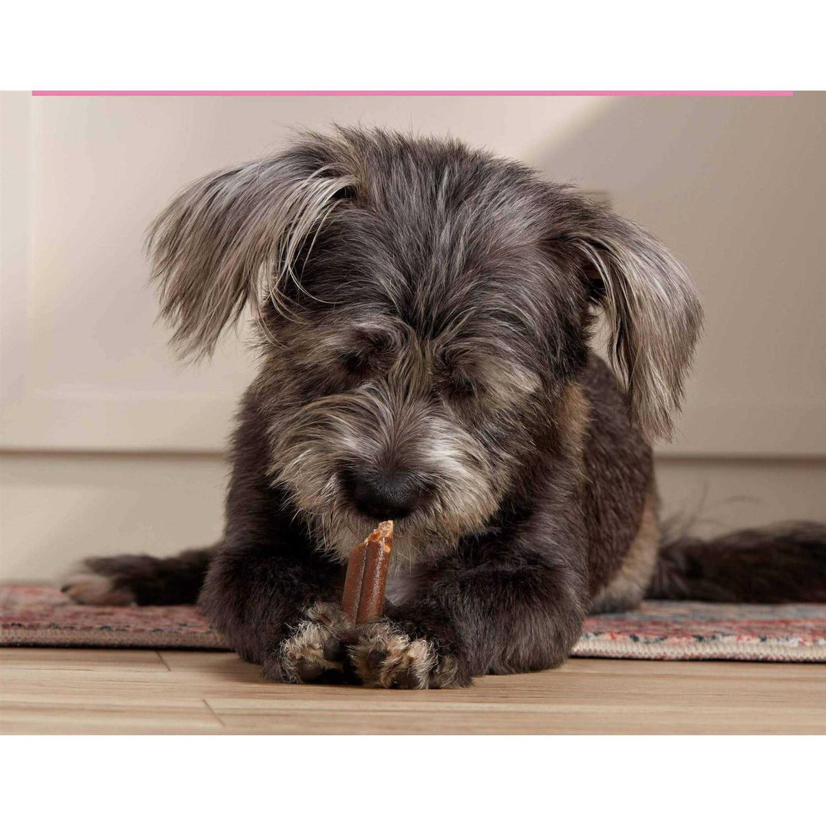Mini Comfort Chews Dog L508