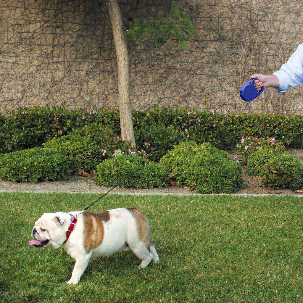 24 ft. Retractable Dog Leash M66864