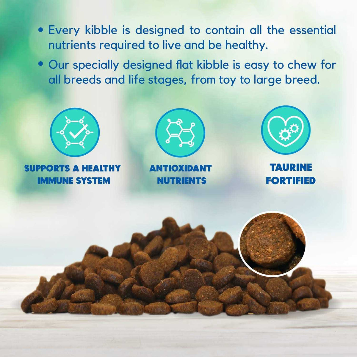 Chicken Brown Rice & Pumpkin Dry Dog Food R62780