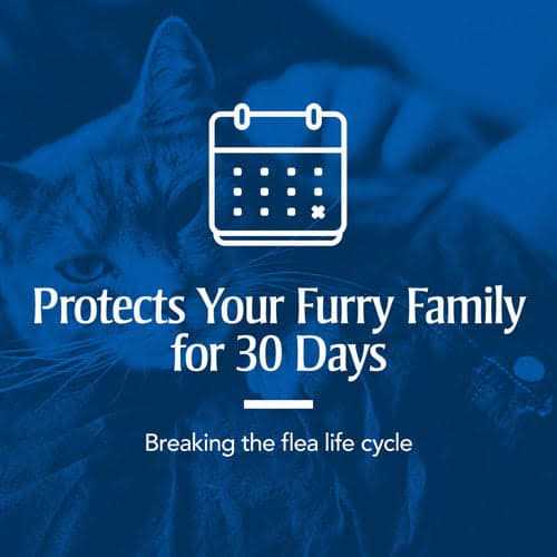 Flea & Tick Spot Treatment for Cats R864840