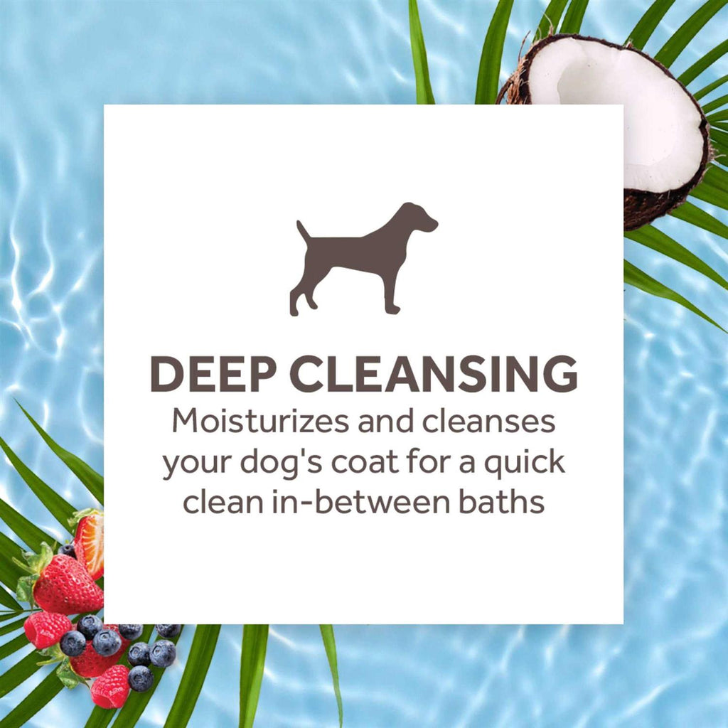 Waterless Deep Cleaning Cat Shampoo T93991
