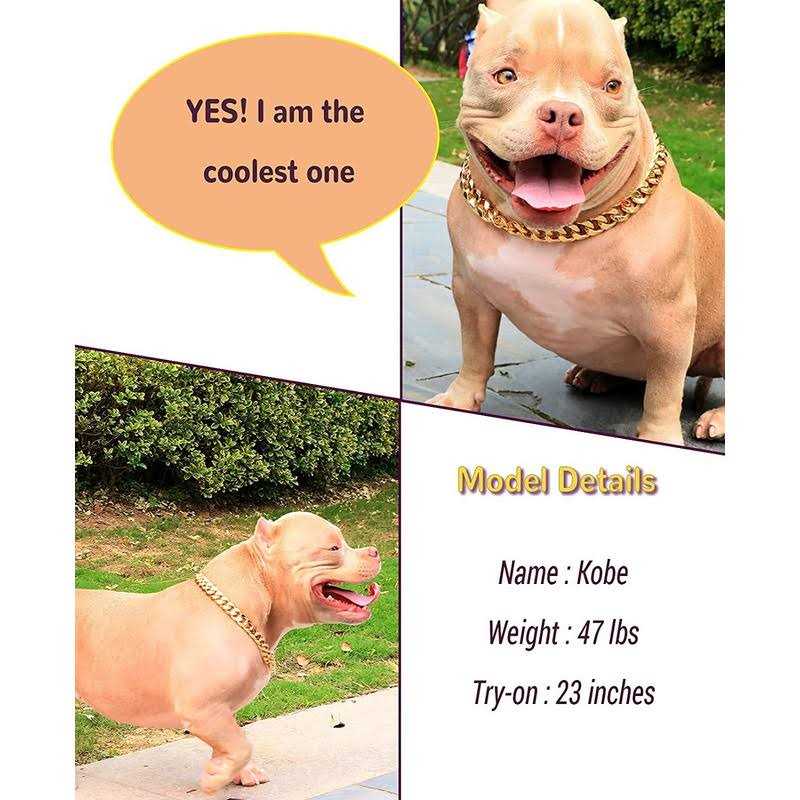 Gold Chain Cuban Link Dog Collar L3955