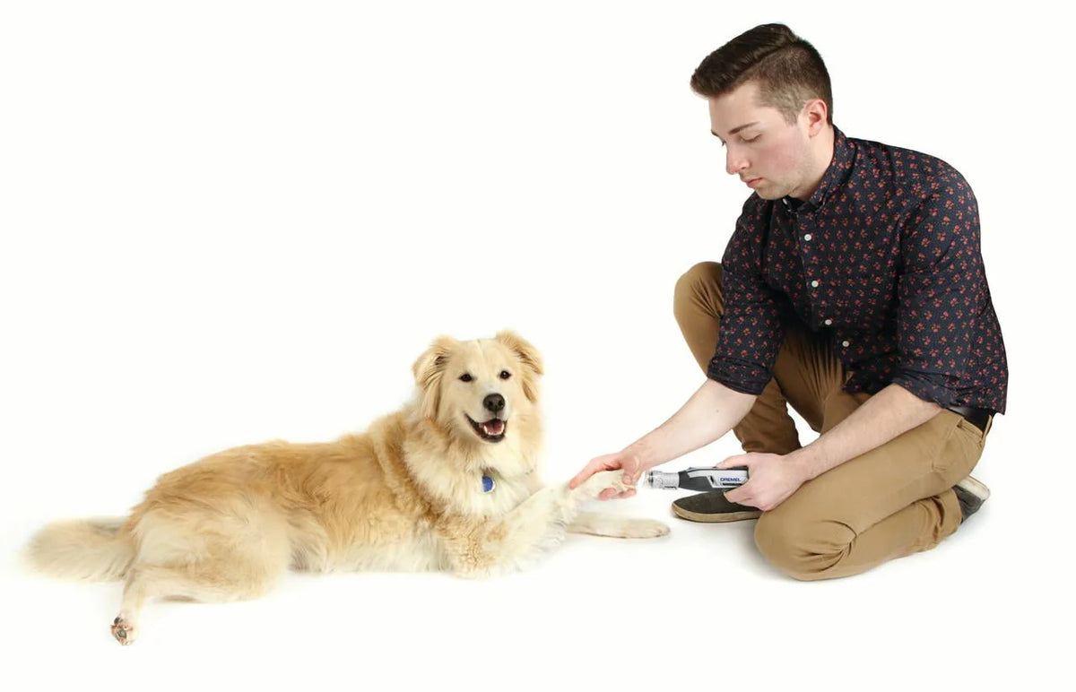 4 Volt Cordless Rotary Pet Nail Grooming Kit I1396