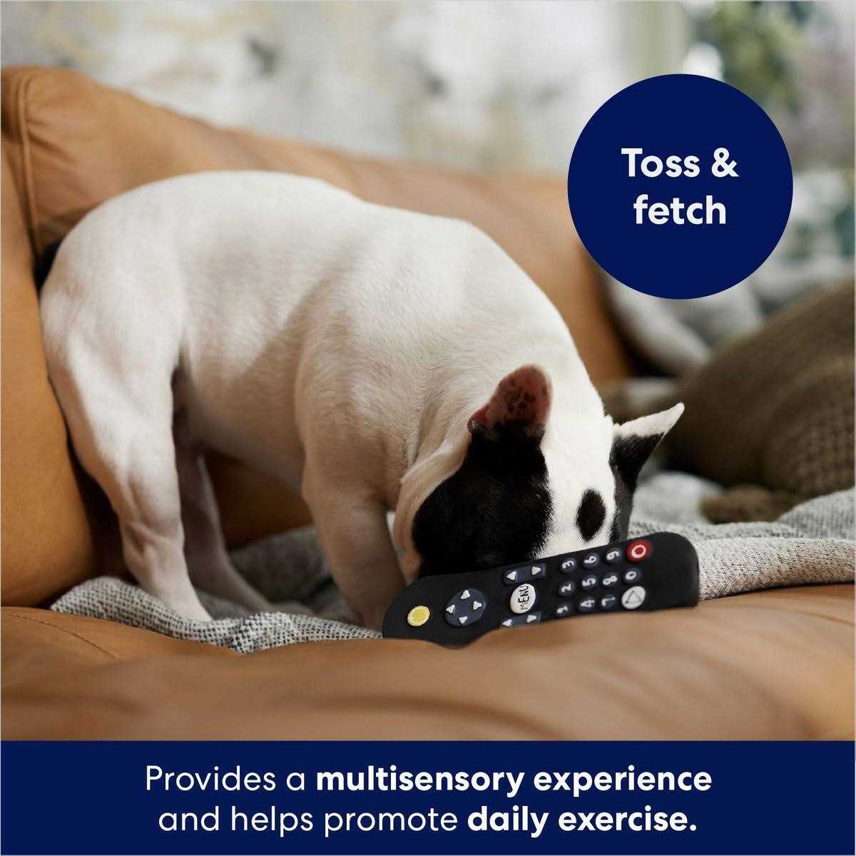 Latex Squeaky Dog Toy X998887