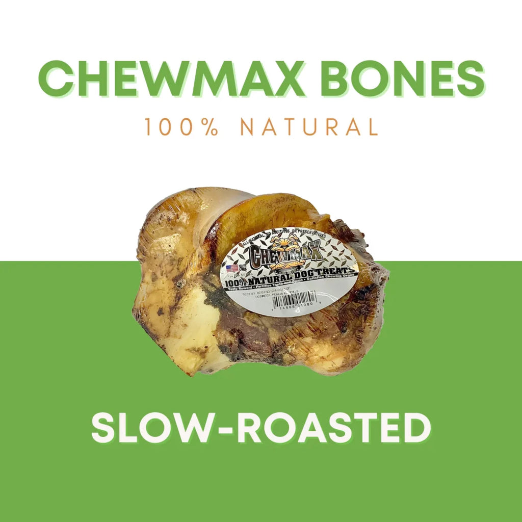 Beef Bone X258