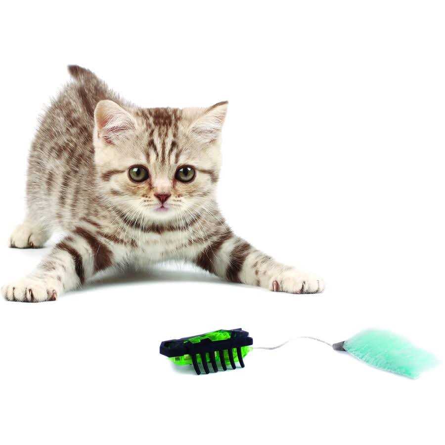 Robotic Cat Toy R3442