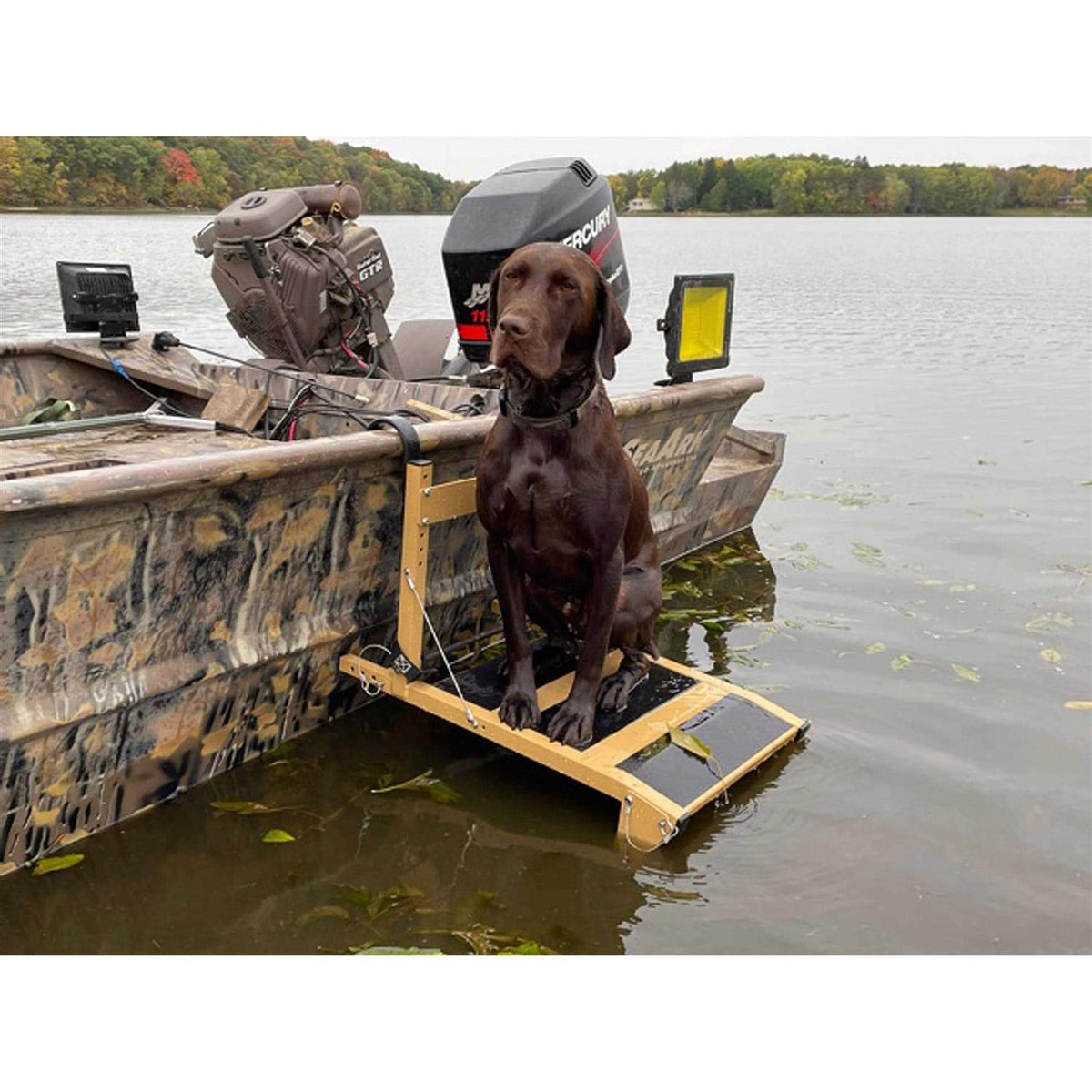 Dog Ladder/Ramp Platform S206
