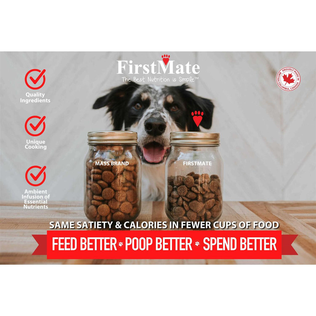 Grain Friendly Dry Dog Food C6077