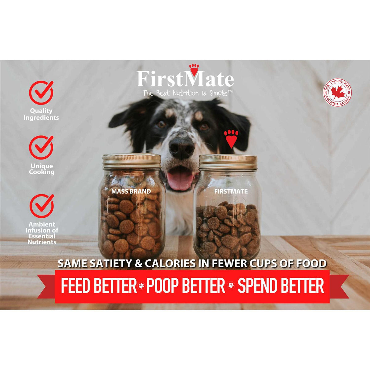 Grain Friendly Dry Dog Food C6077