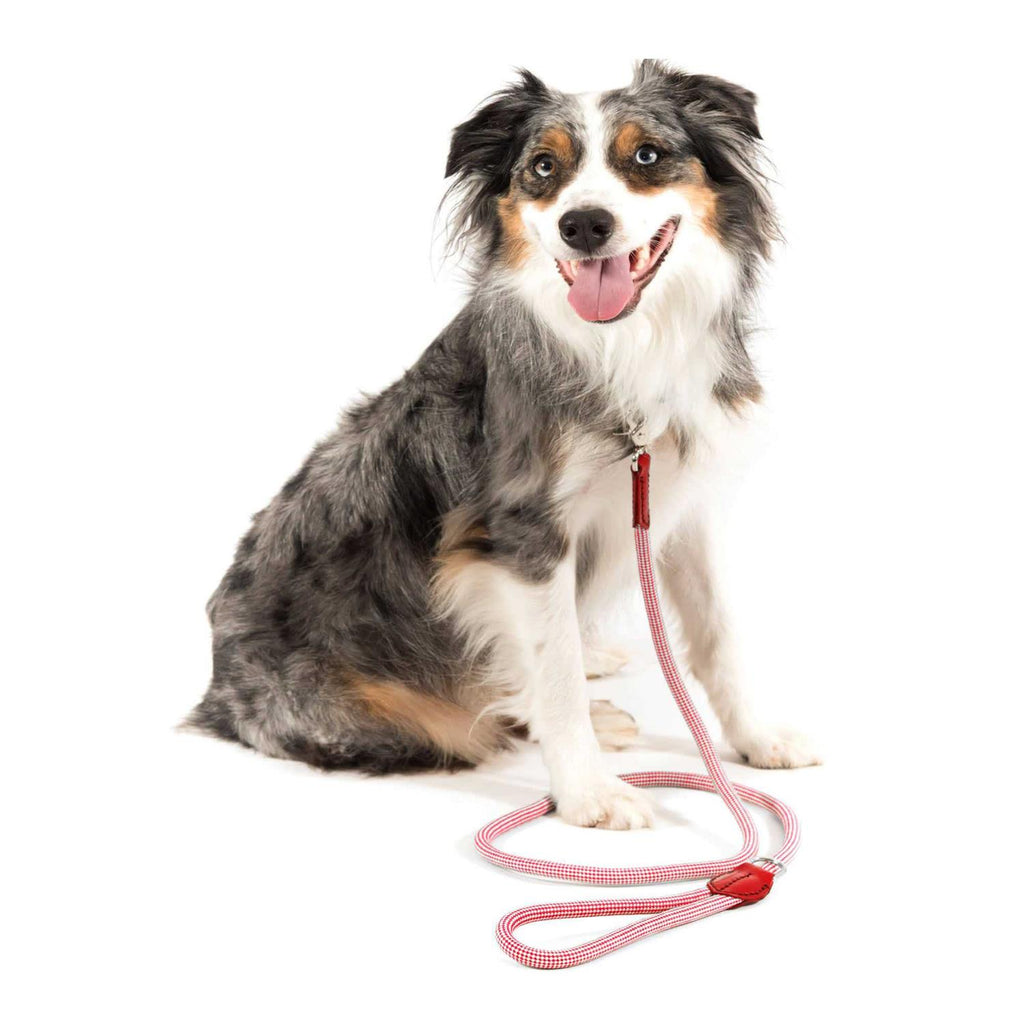 Check Rope Dog Leash B921785