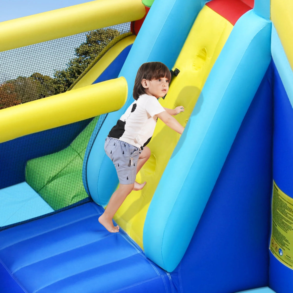 Inflatable Waterslide E24350