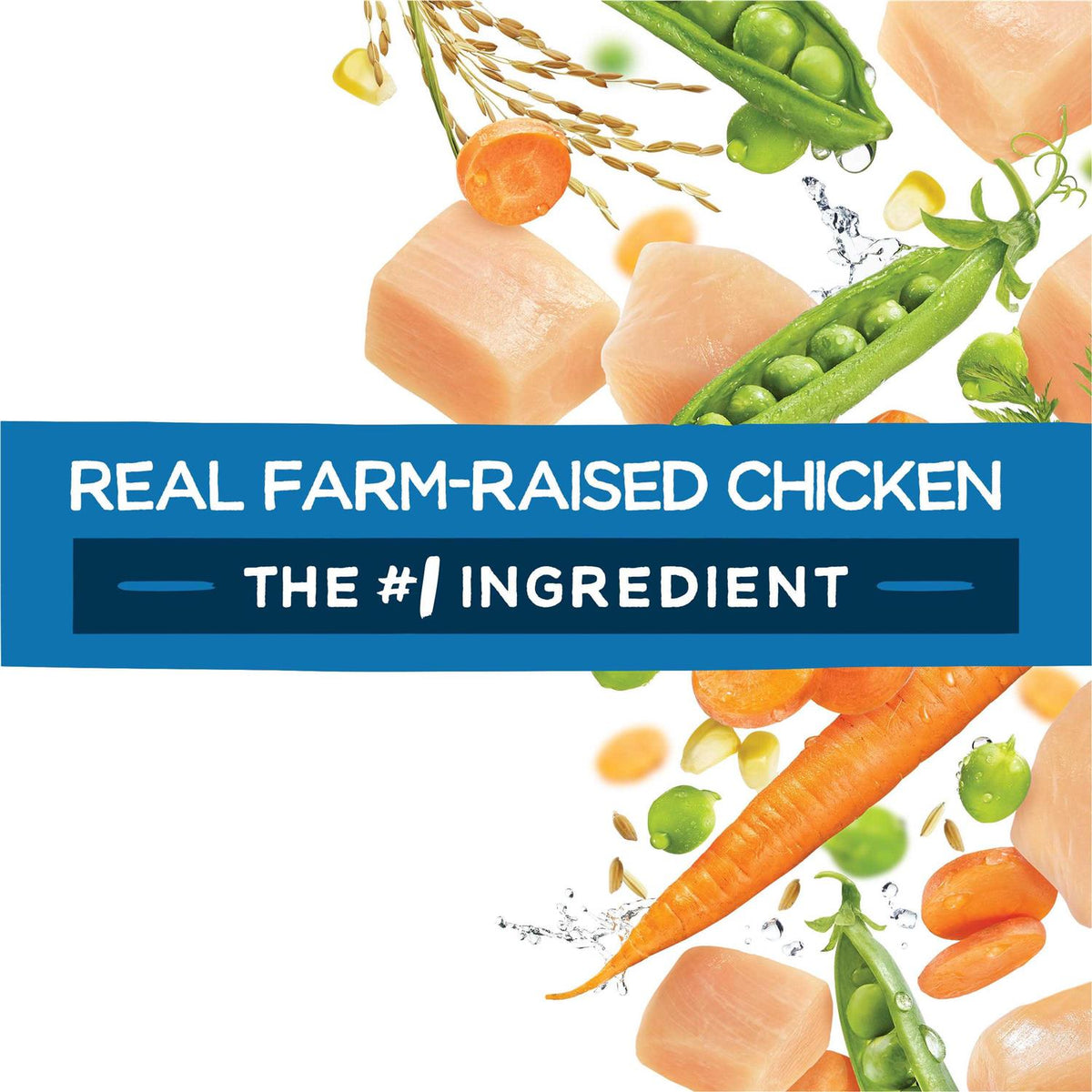 Chicken Dry Dog Food X516460