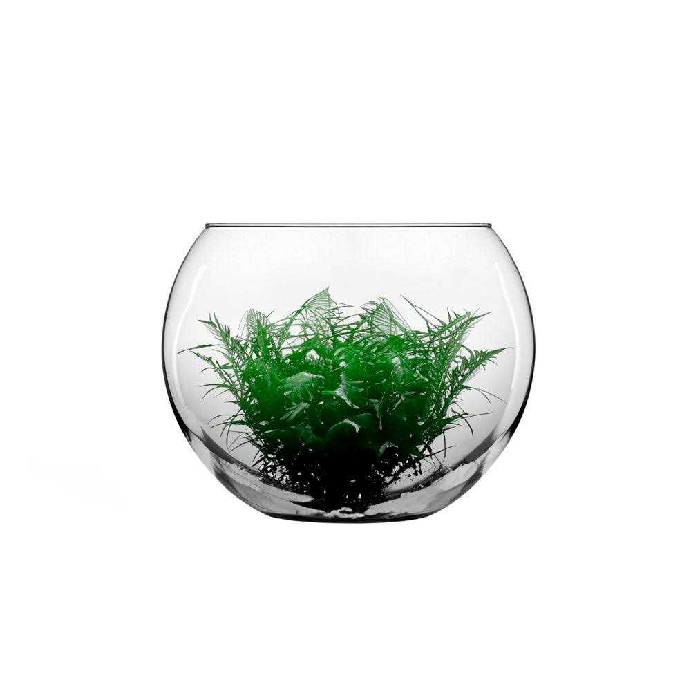 Glass Bubble Ball Bowl E4975