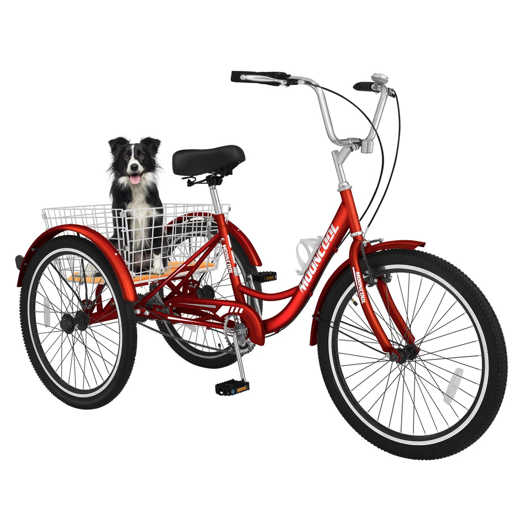 24 Single Speed Tricycle with Large Basket N127