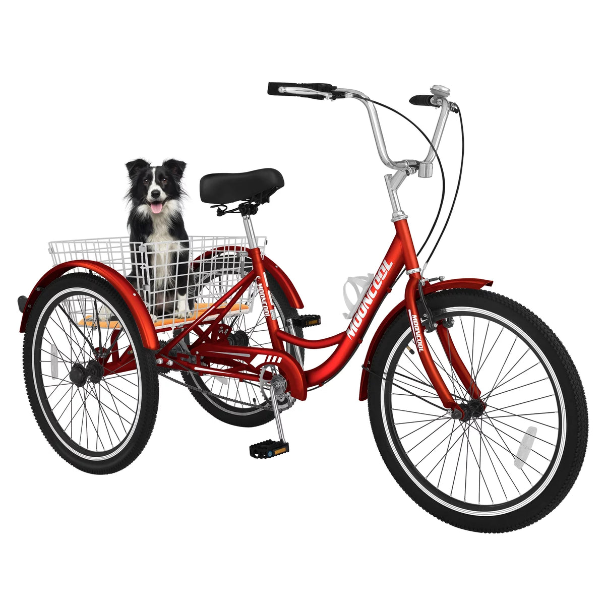24 Single Speed Tricycle with Large Basket N127