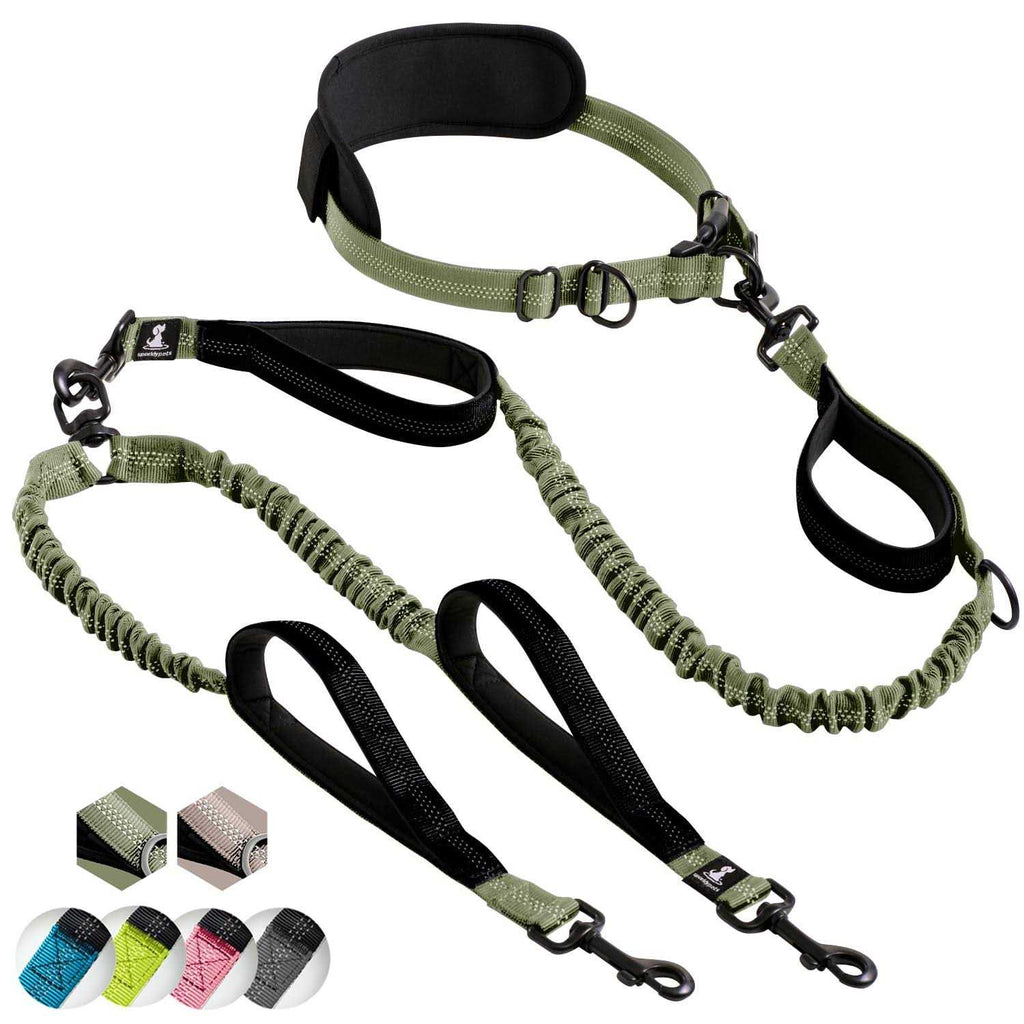 Hands Free Double Dog Leash V35983