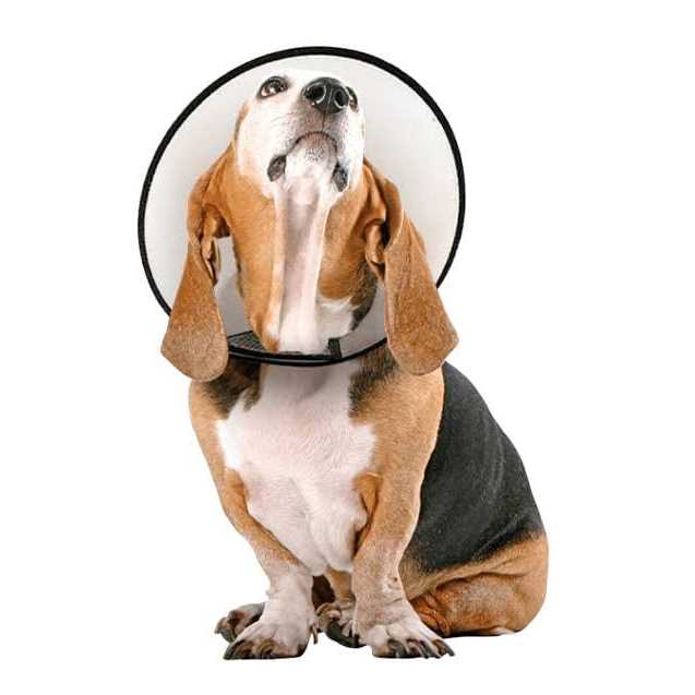 Protective Cone Collar W869122