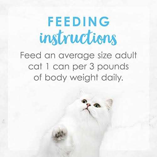 Wet Cat Food E803602