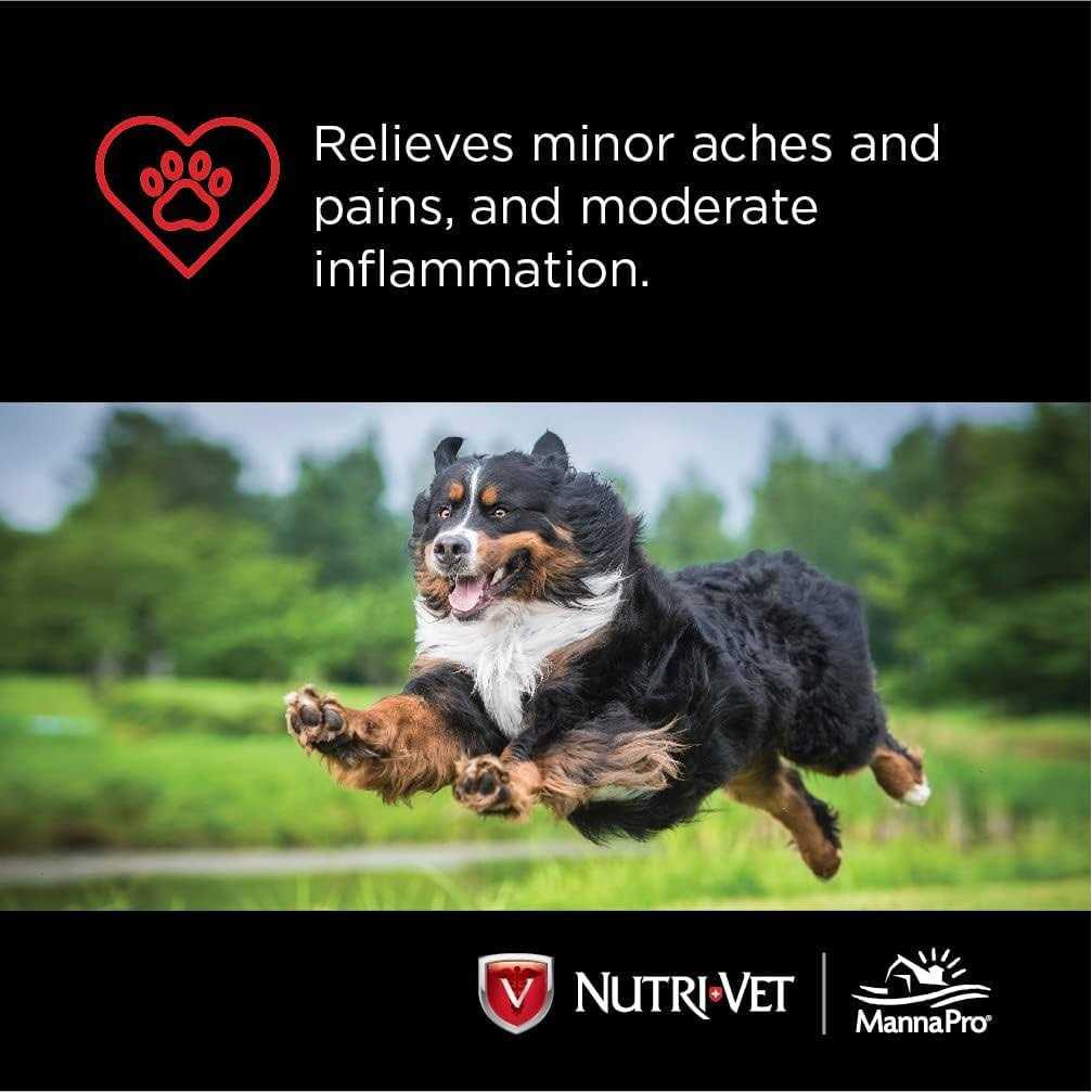 Small Dog Chewables 100 count V150