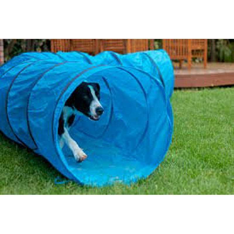 Dog Training Tunnel R7921