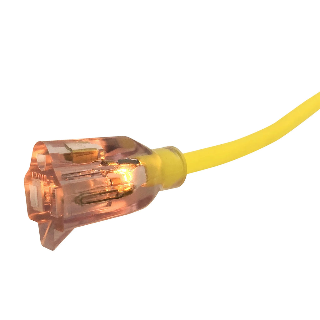 12/3 50 Ft Cord C316
