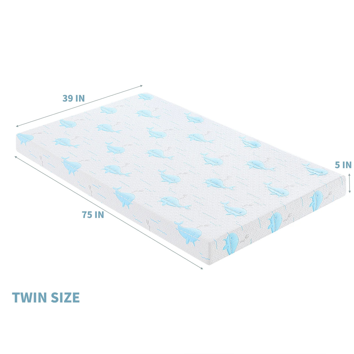 5 Inch Twin Memory Foam Mattress P572