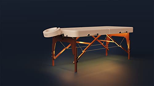 Lightweight Portable Massage Table T9407