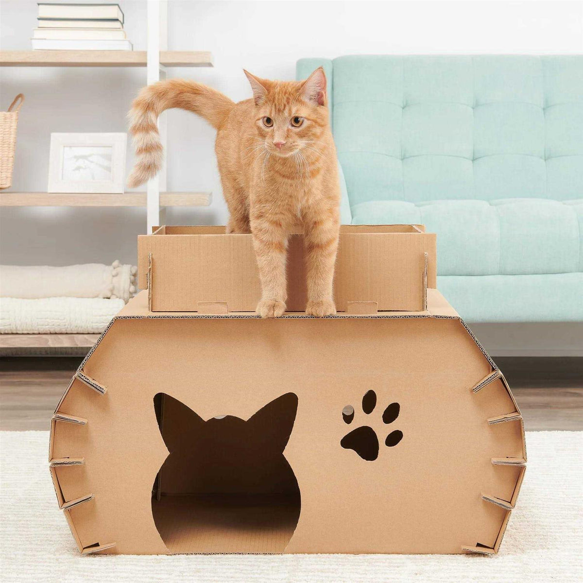Cat Camper and Scratcher G783528