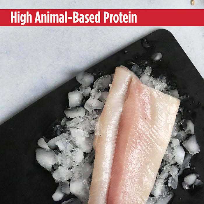 Grain Free Trout & Duck Dry Cat Food H620490