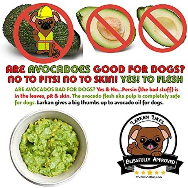 Bulldog Unscented Nose Butter D2129