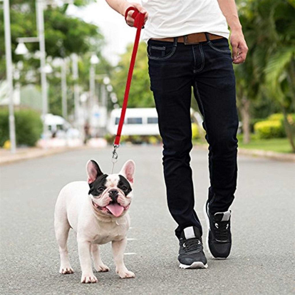 Long Lead Leash L643517