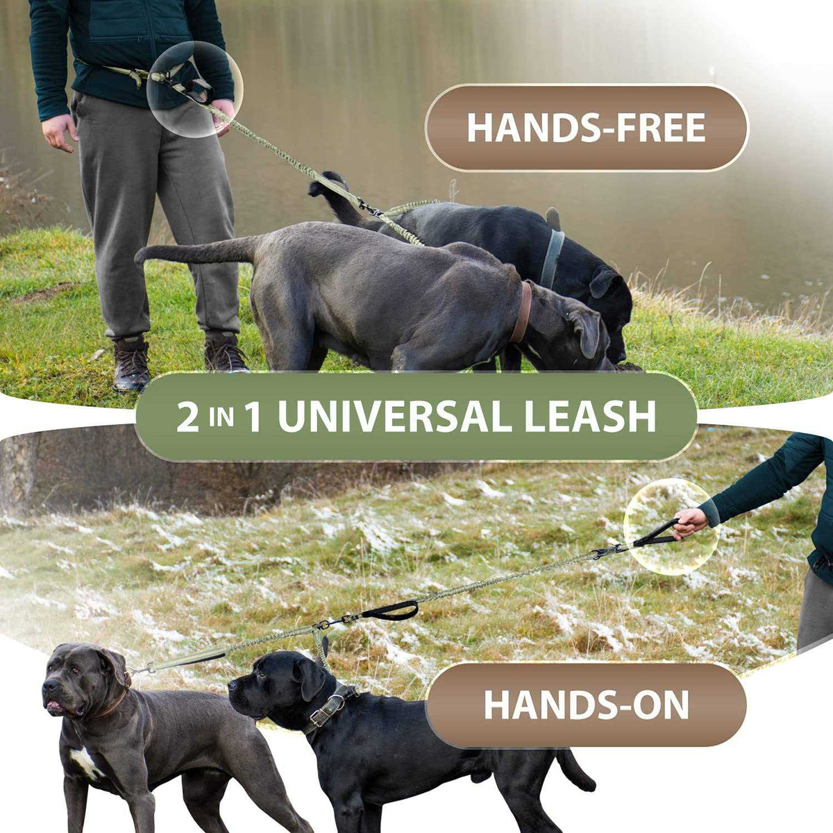 Hands Free Double Dog Leash V35983