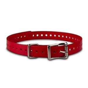 Collar Strap T4293